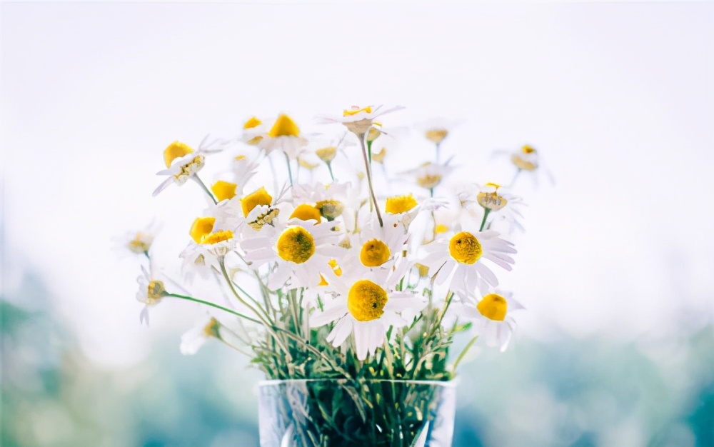 爱斤斤计较的人是什么心态,爱斤斤计较的人什么心理