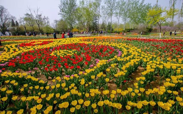 谁说济南没有夜生活细数济南这些高颜值酒吧！这就是我认识的济南