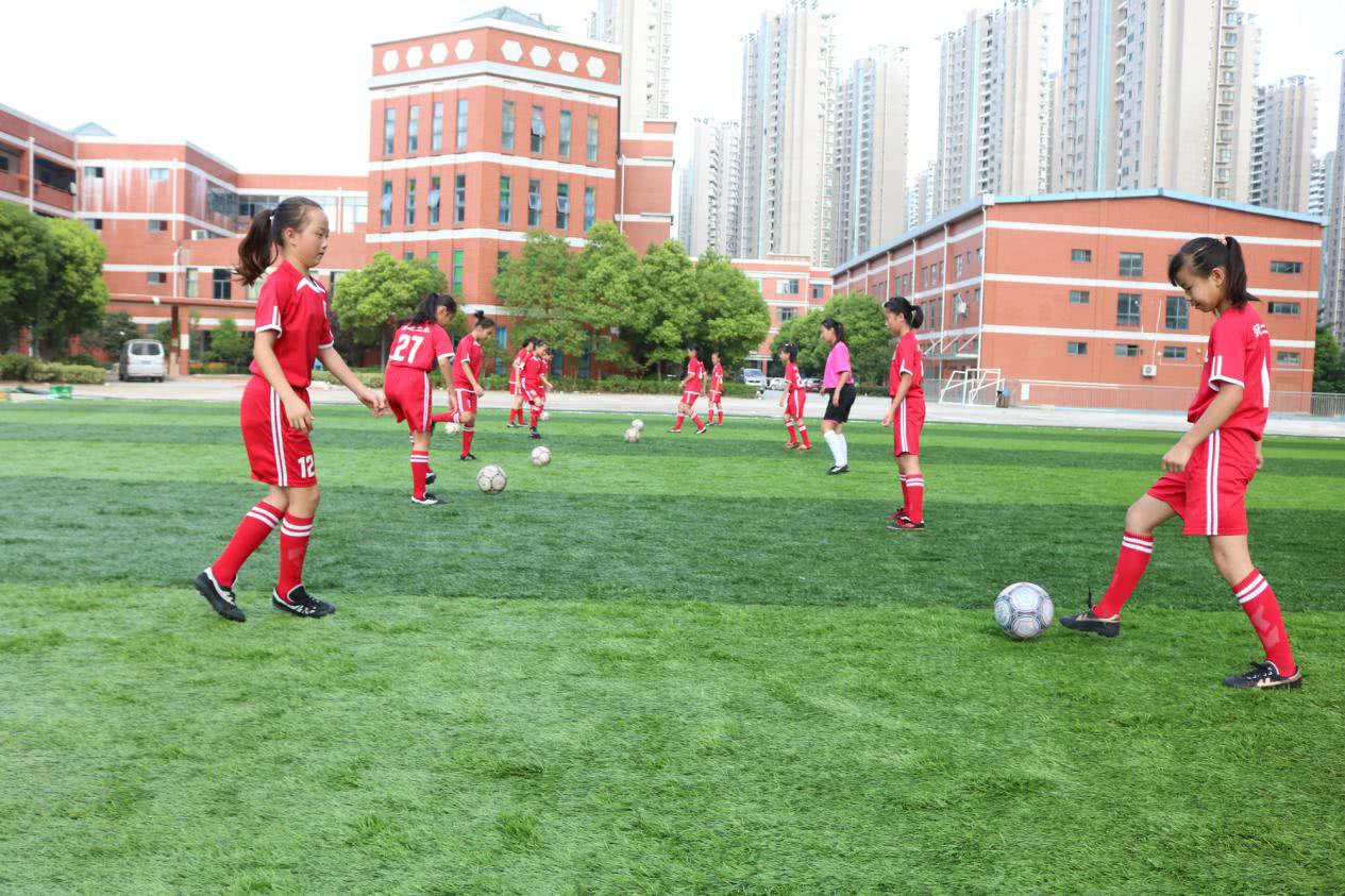 合肥师范附小二小*党**支部书记、校长孙朝莲:怀揣梦想智慧前行