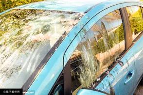 鸟屎落头有什么说法吗,雀屎掉在头上预示什么