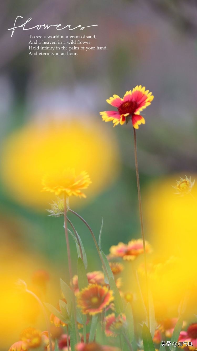 秋分愿生活恰如其分,人生恰如秋分生活恰如其分