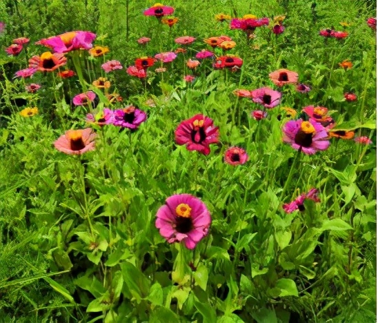 云南禄丰旅游线路攻略图,云南冬季自驾游最佳线路图