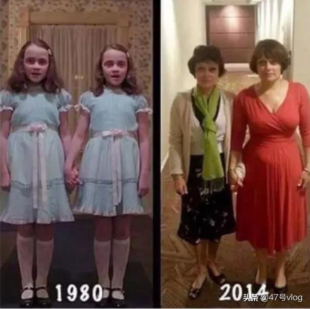 家里两只猫咪可以一起养吗,家里有宝宝适合养什么猫咪