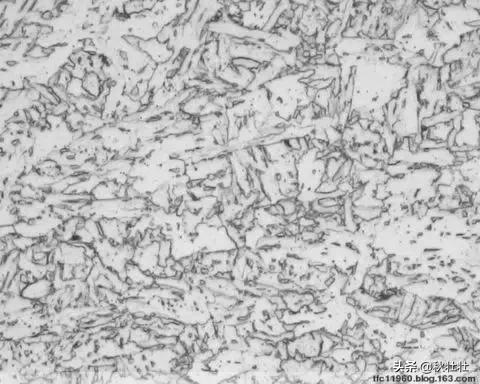 马氏体和奥氏体金相图片,马氏体和珠光体金相区别
