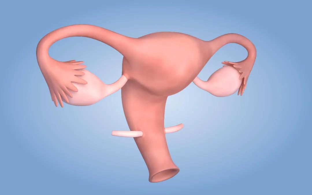 人流术，如何保养好子宫！