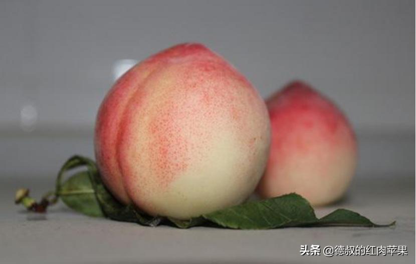 上枝桃和下枝桃怎样区别,怎样辨别观赏桃树与食用桃