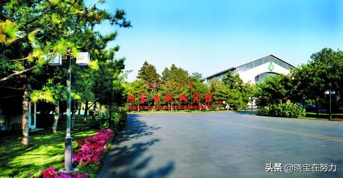 内蒙古规划建五星级酒店,内蒙古蒙古利亚大酒店几星级