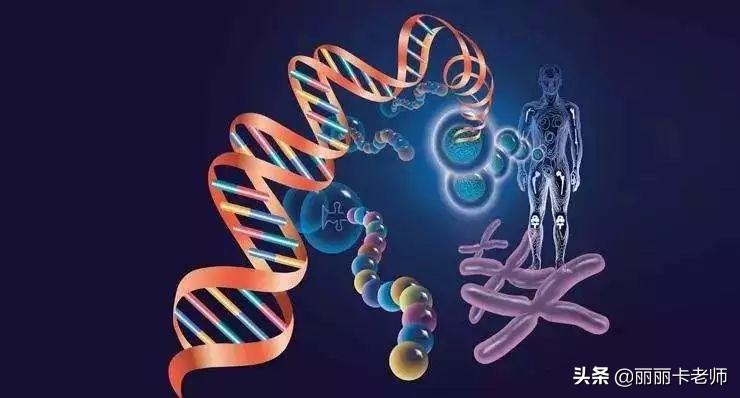 妇科最常见的恶性卵巢肿瘤,妇科肿瘤8项正常会得卵巢癌吗