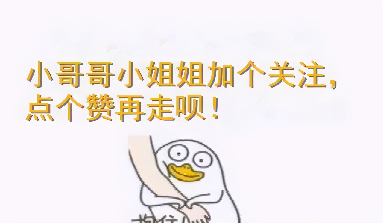 618养猫好物,养猫好物大全集