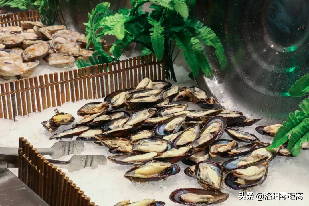 洛阳最好吃的餐厅,洛阳最好的自助餐厅是哪家