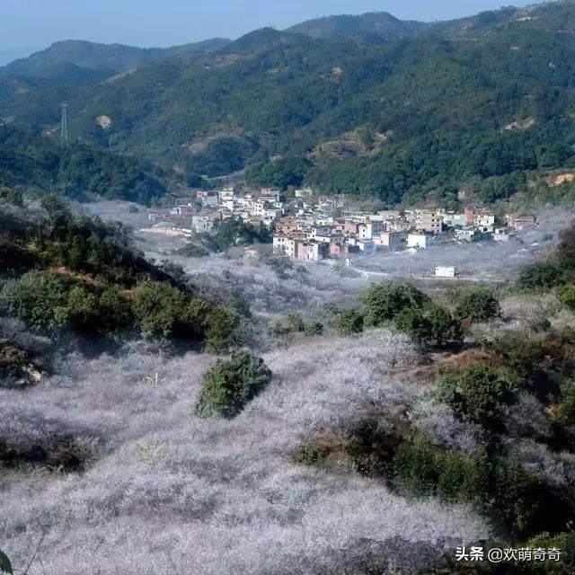 御水温泉陆河,御水湾温泉度假d区