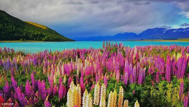 赵锁仙原创歌,赵锁仙