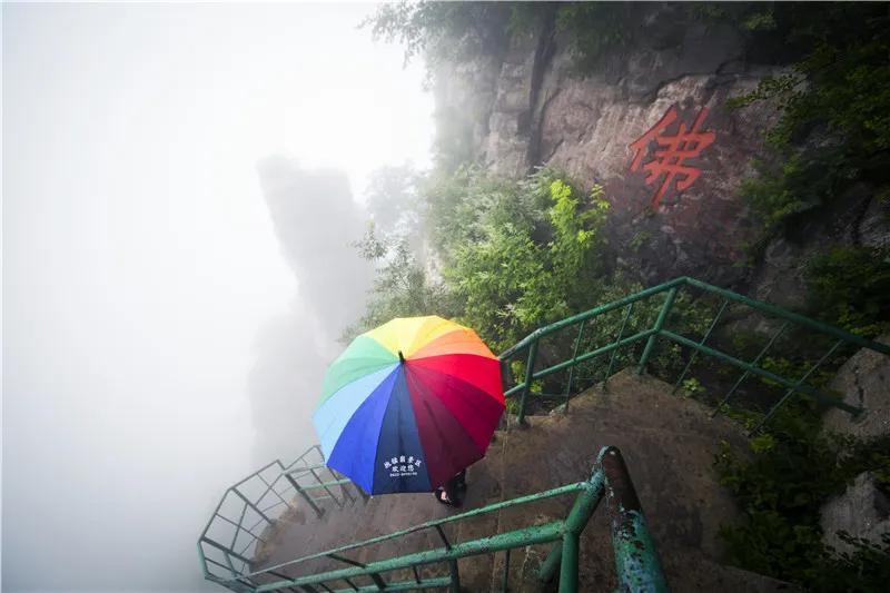 抱犊崮门票半价政策,中考生福利重庆