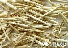 动物中药功效大全,中药药材大全及功效