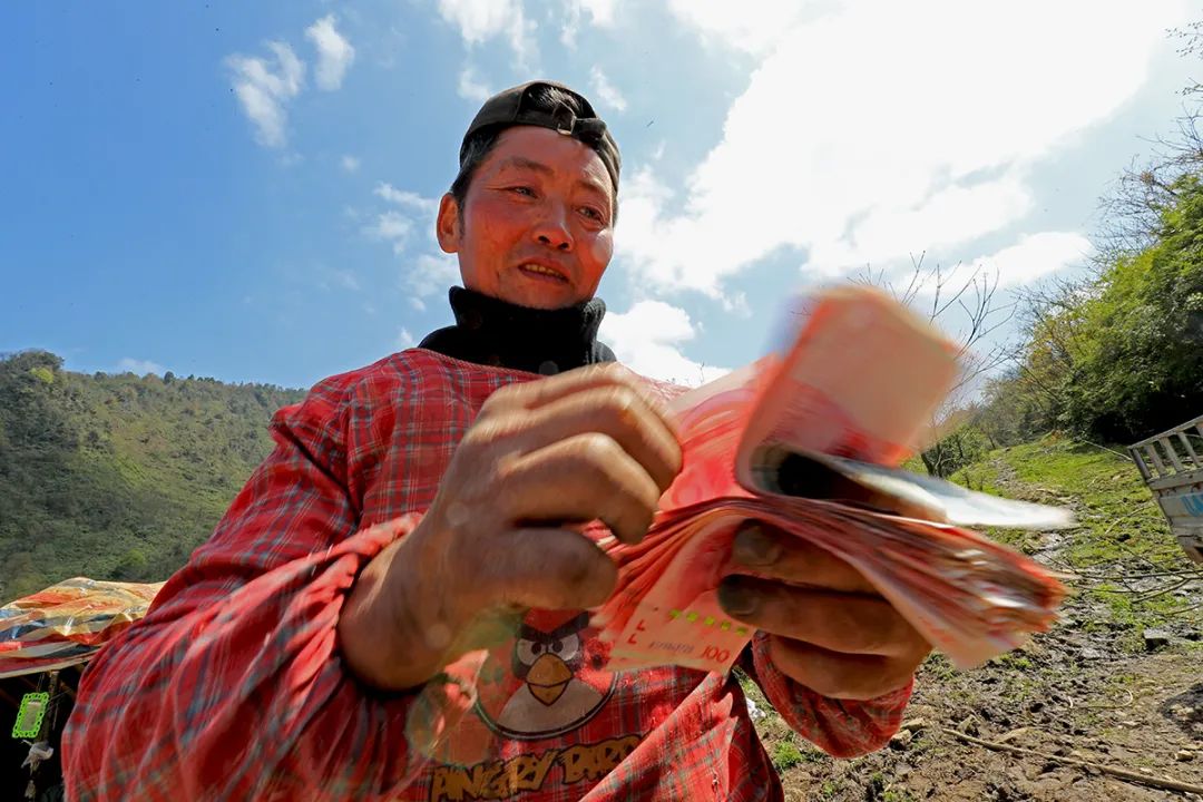 春笋人间四月天,人间四月天吃春笋