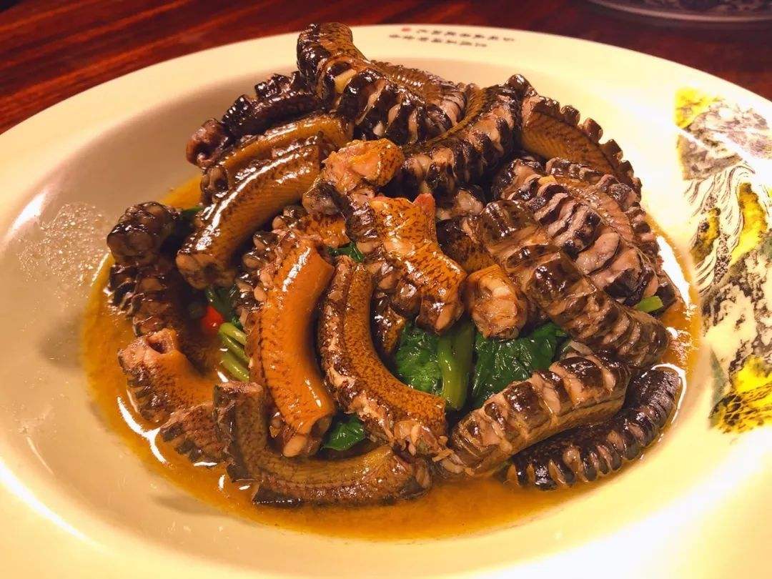 钓黄鳝出洞技巧,黄鳝钓黄鳝怎么钓