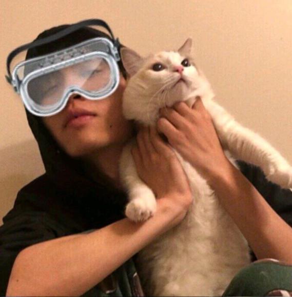 qq聊天标志都有什么,qq聊天上的标识意思