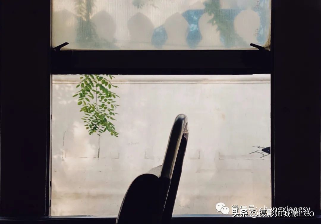 梵高10分钟摄影,在摄影中可以学到什么