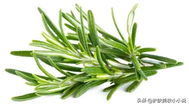 螨虫钻进皮肤怎么办,螨虫毛孔粗大擦什么药