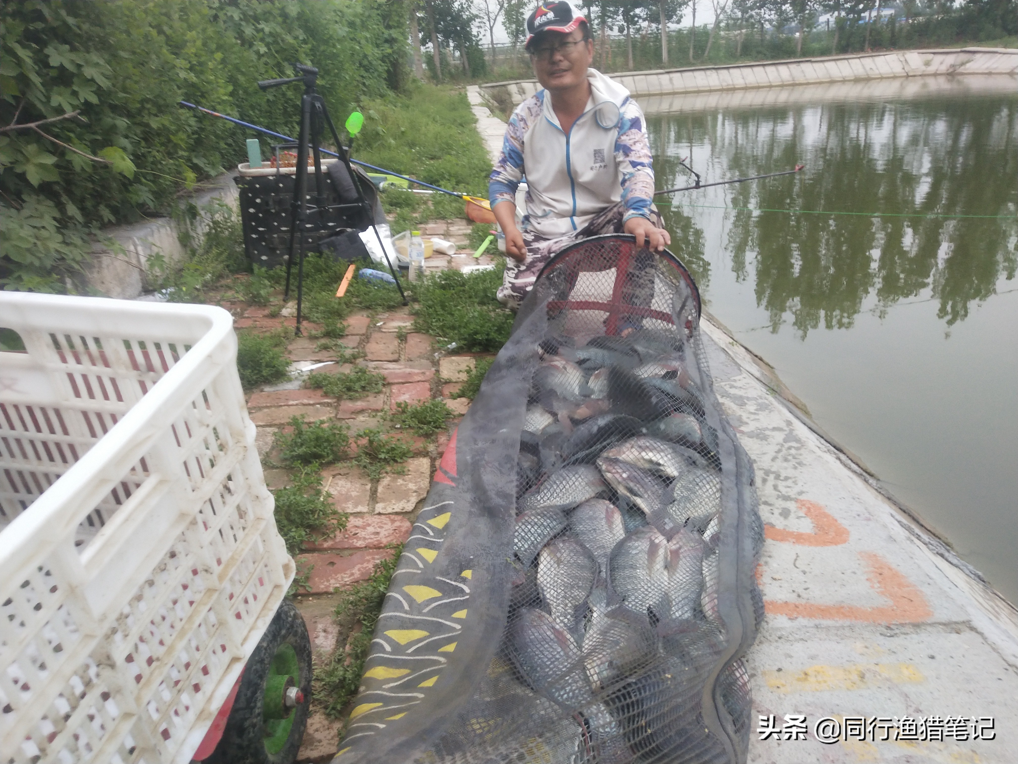 细线钓鱼有什么优势,野钓细线钓鱼技巧