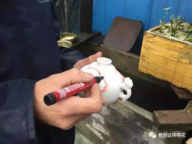 切割陶瓷酒瓶做花盆最简单的方法,没有工具怎么把陶瓷酒瓶弄成花盆