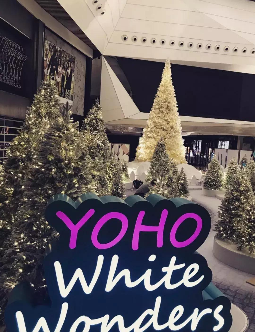 香港海滨长廊圣诞节,香港圣诞打卡地唯美视频