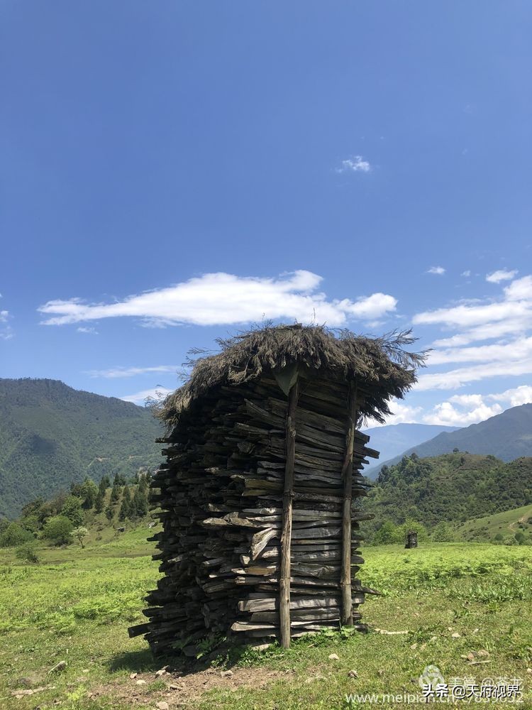 中国百慕大黑竹沟了解一下,穿越黑竹沟揭秘中国百慕大