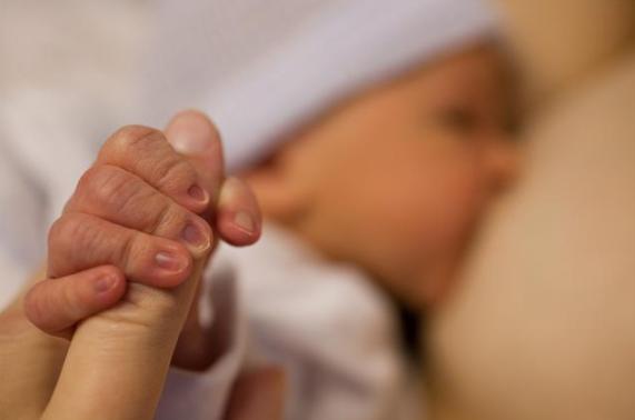 把母乳放大1000倍,看到这样画面,网友:怪不得医生建议母乳喂养