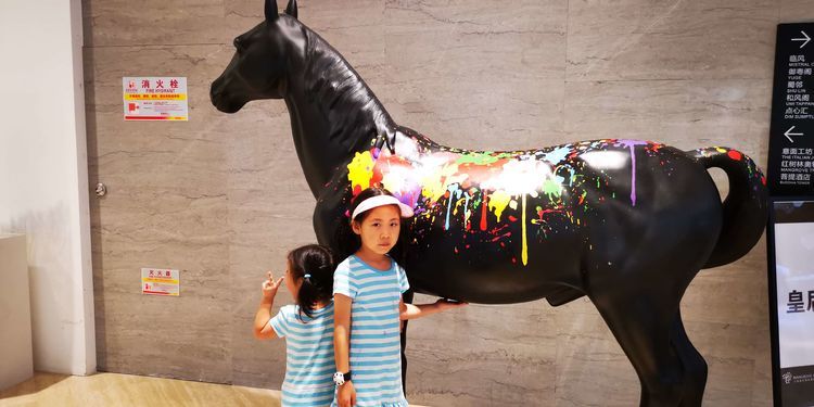 三亚红树林有亲子活动,三亚红树林和海韵