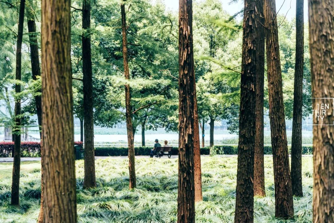 武汉是怎样的一座城,武汉发展汉阳