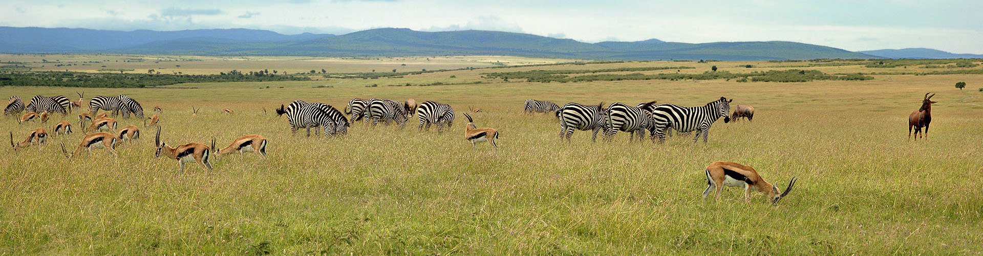 NAYPALAD鸟巢酒店——极致“野奢”体验