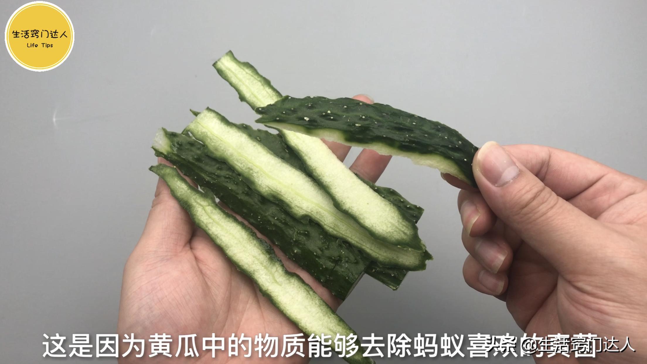 杀灭蚂蚁用什么方法最好,怎么驱赶蚂蚁最有效的方法
