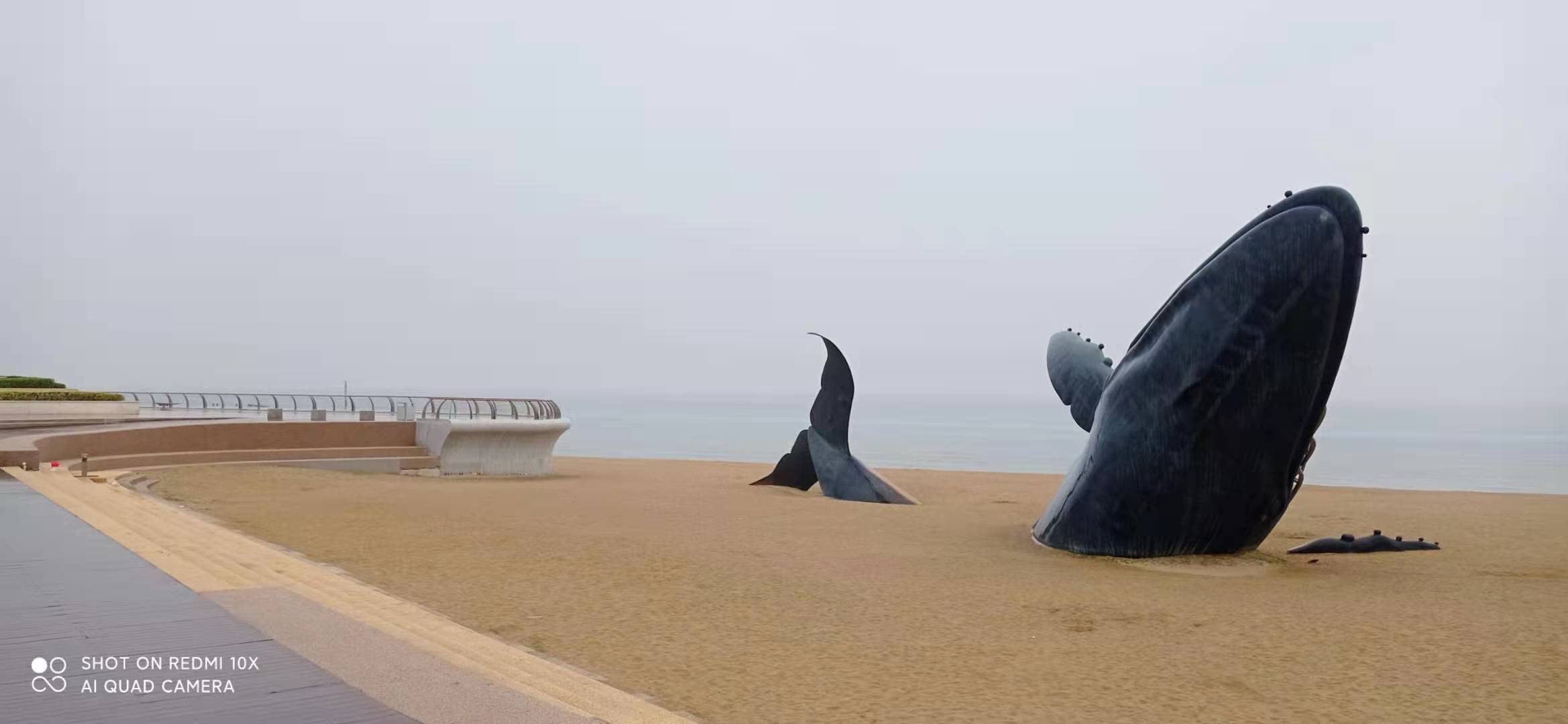 战友美文30首,王琪战友评价