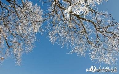 情感咨询栗子姐,情感专家栗子姐语录
