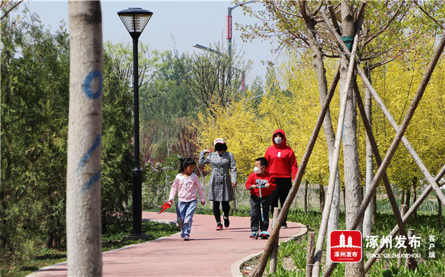 风正好扬帆奋进正当时宣传片,风正起扬帆正当时