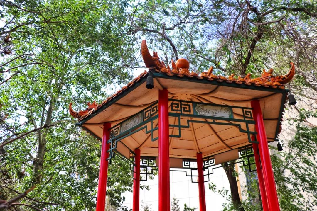 天津超奢华大学,天津大学旧校区取景