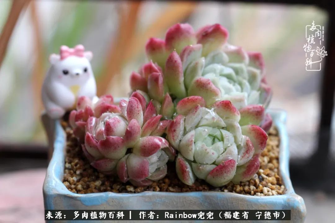 岁月无波澜余生不悲欢是啥意思,愿你岁月无波澜敬我余生无悲欢