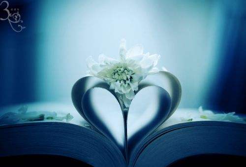 社群运营活跃粉丝的方法和技巧,社群运营第一步引流