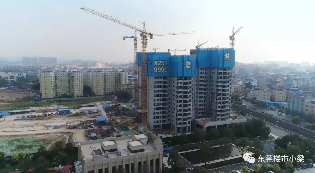 疫情后楼盘首开,东莞常平碧桂园玫瑰臻园整体外观