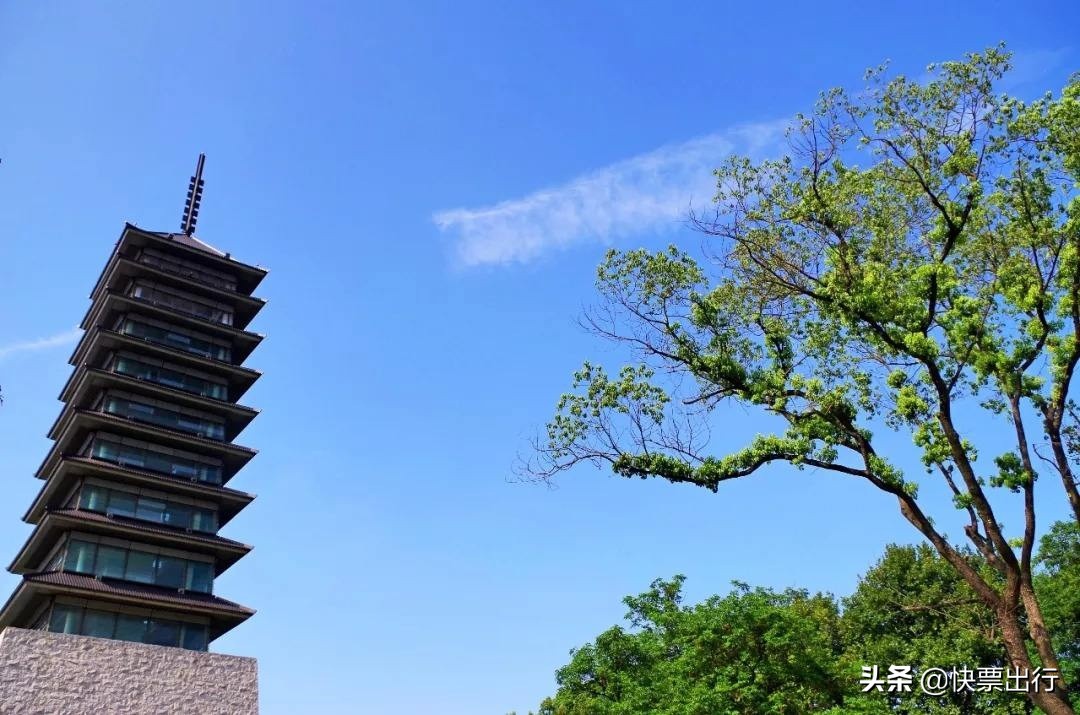 为什么陕西这么多外国人,被誉为东方金字塔的省份