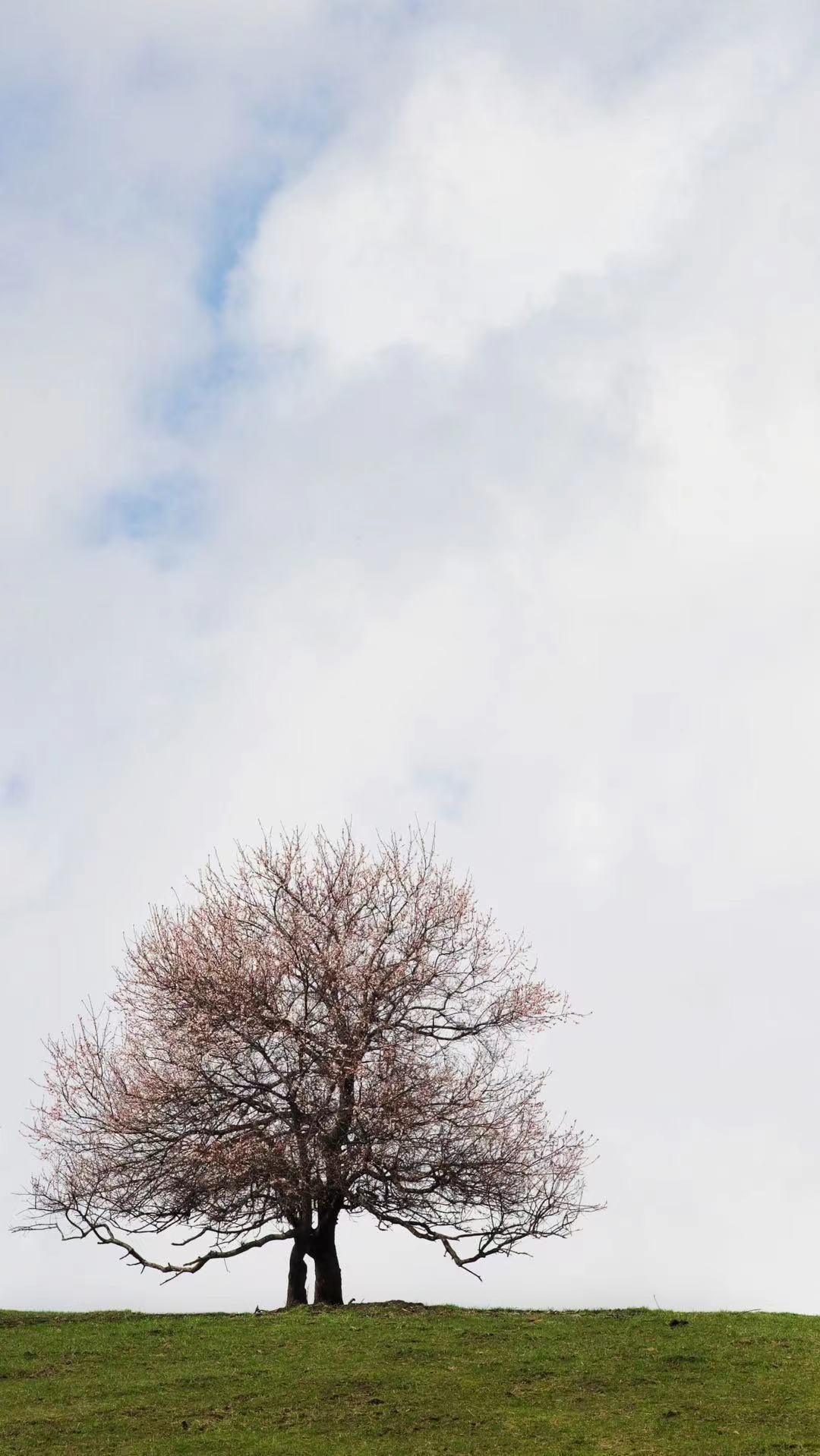 摄影师教你制作滤镜,摄影滤镜怎么弄