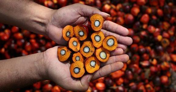 期货交易技巧复盘,期货怎么复盘主力合约