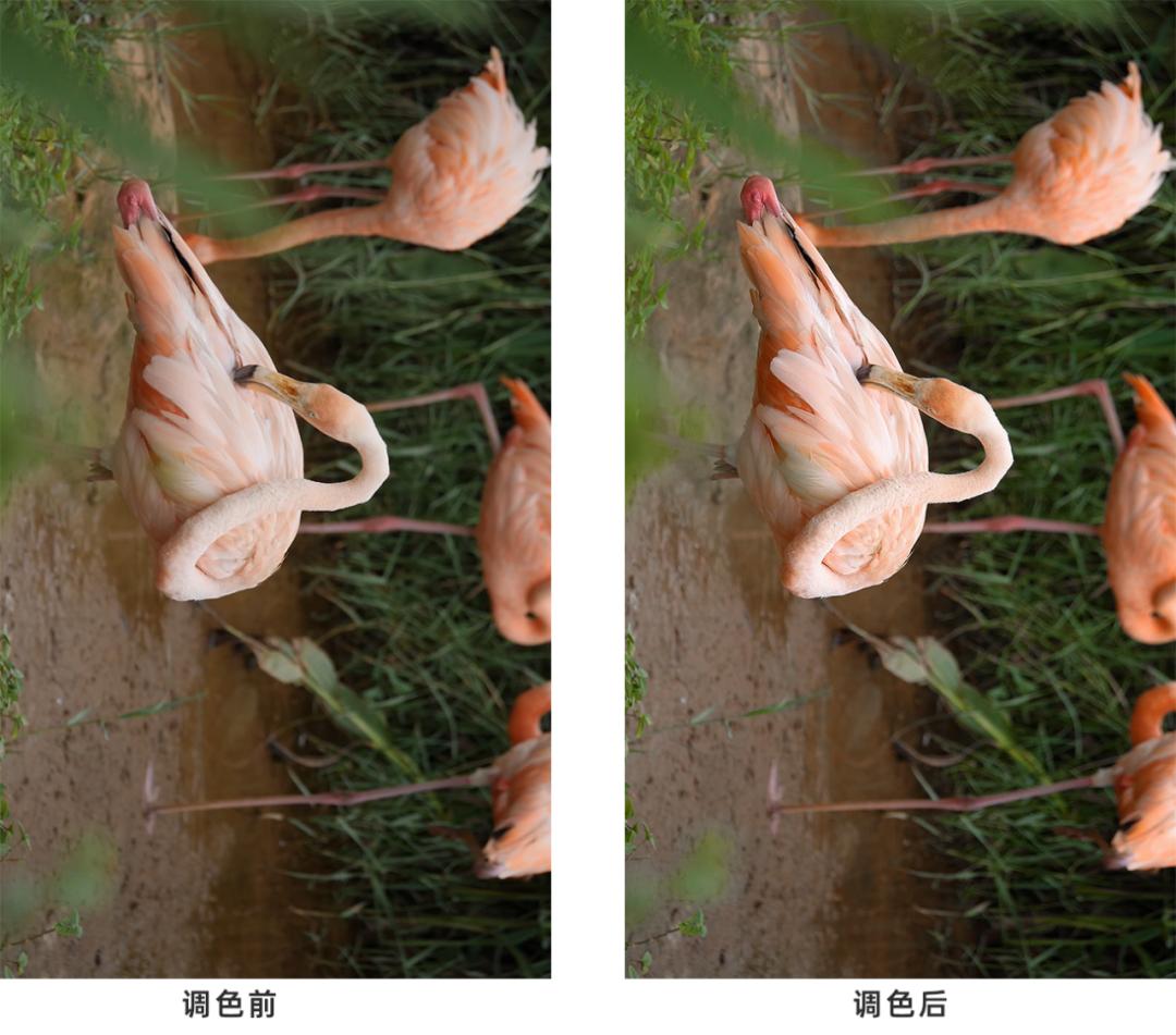 如何让自己的抖音视频更高清？测试一天后，偷偷告诉你