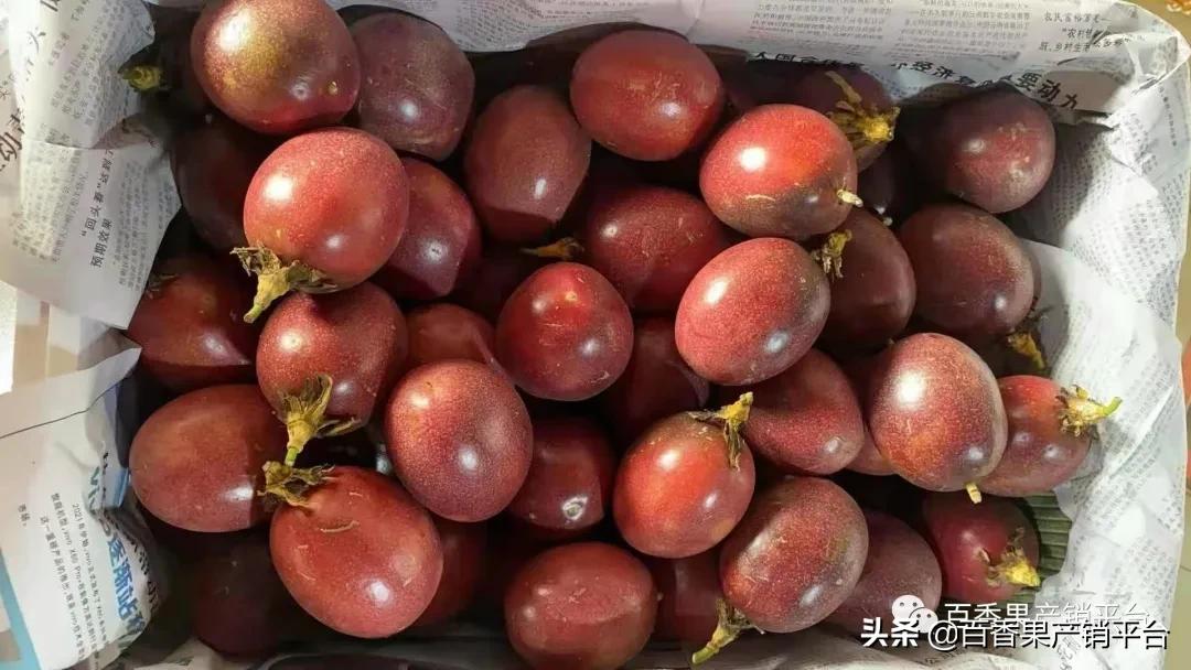 反季节百香果价格,百香果种植亏本的原因你知道哪些