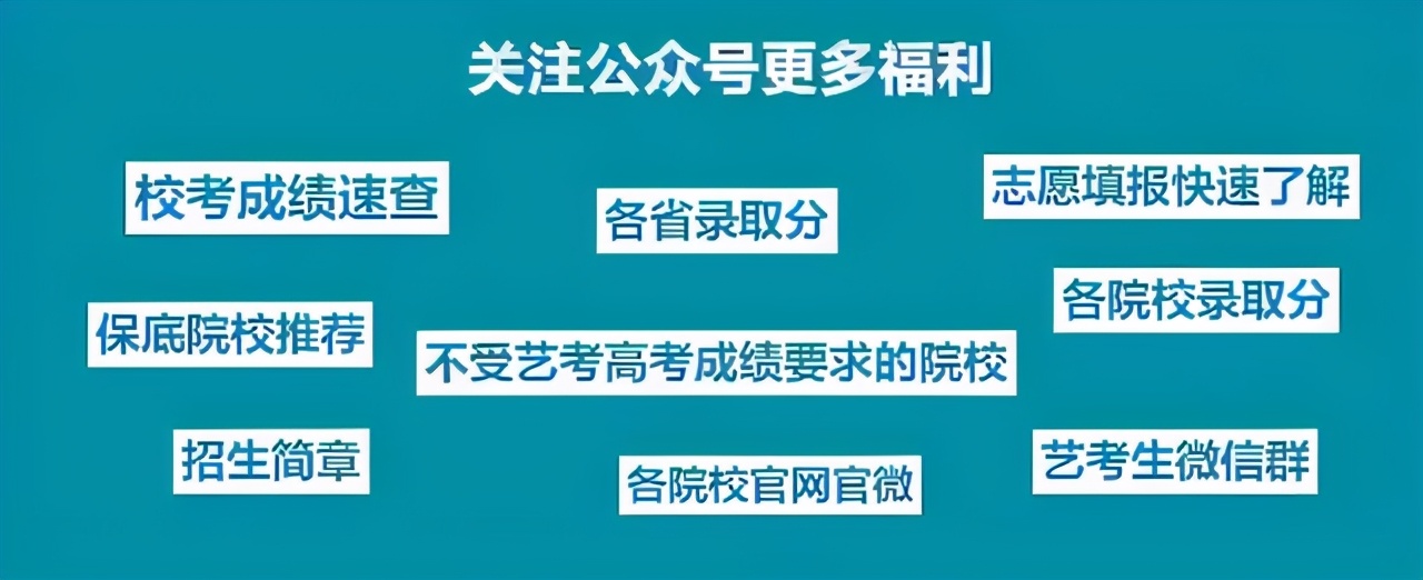 四川文化艺术学院2021年招生名额,四川文化艺术学院招生简章2023