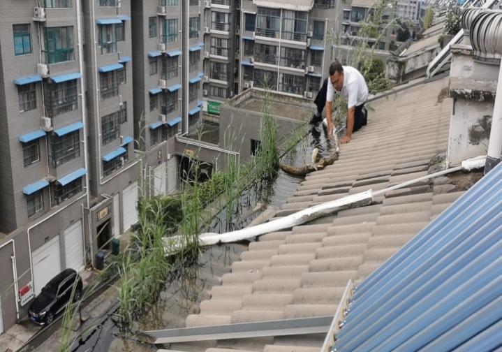 什么叫物业人,什么是物业人