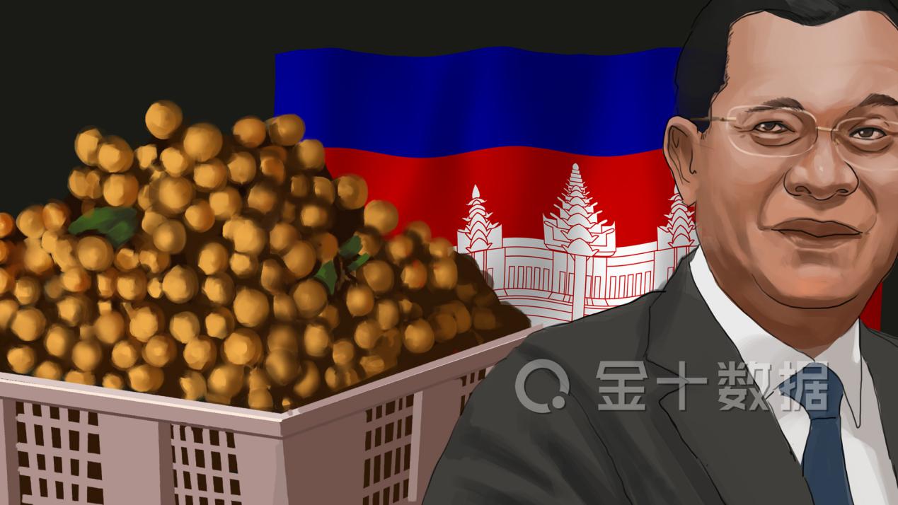 柬埔寨香蕉本月试出口中国,中国不再从越南进口水果了吗