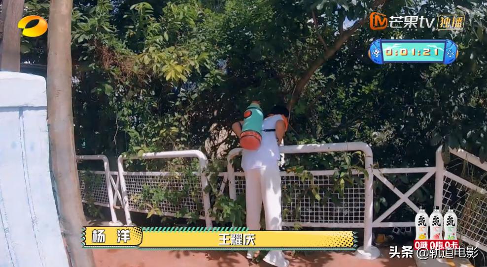 元气满满的哥哥杨洋踢球,元气满满的哥哥杨洋猜谜名场面