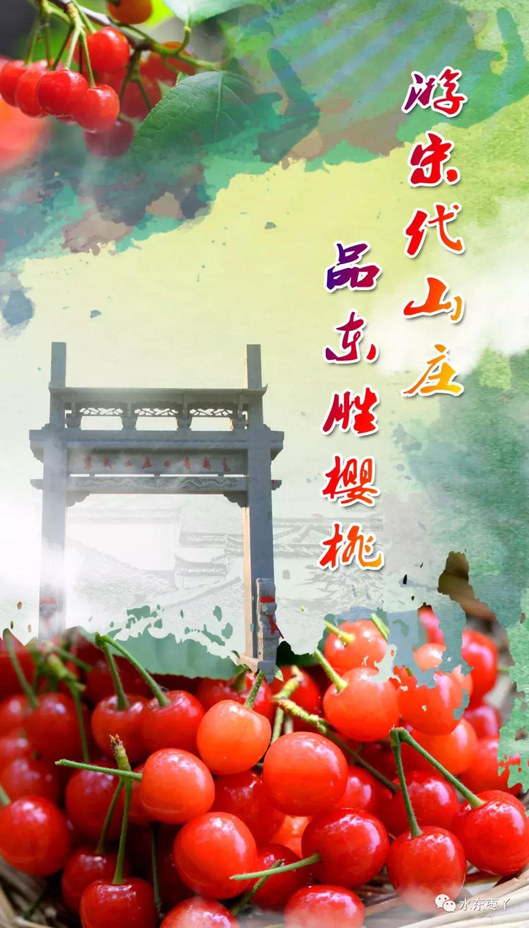 宣城本地现在还有樱桃采摘吗,宣城水东樱桃采摘