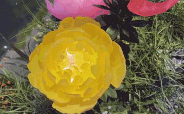 珠海有没有比较好的景点,珠海最漂亮群岛